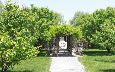 園林綠化工程類論文在職稱評審中的要求與指導(dǎo)