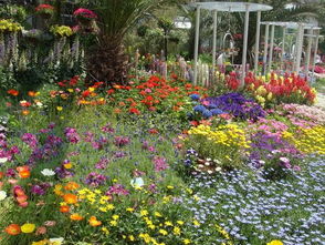 企業(yè)簡介 專注園林綠化工程，構(gòu)建綠色美好家園