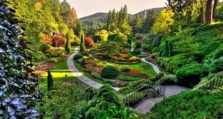 雄安新區(qū)綠化建設(shè) 科學(xué)選種，描繪未來生態(tài)畫卷